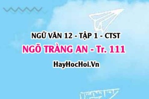 Soạn bài Ngõ Tràng An trang 111, 112 Ngữ văn 12 Chân trời sáng tạo